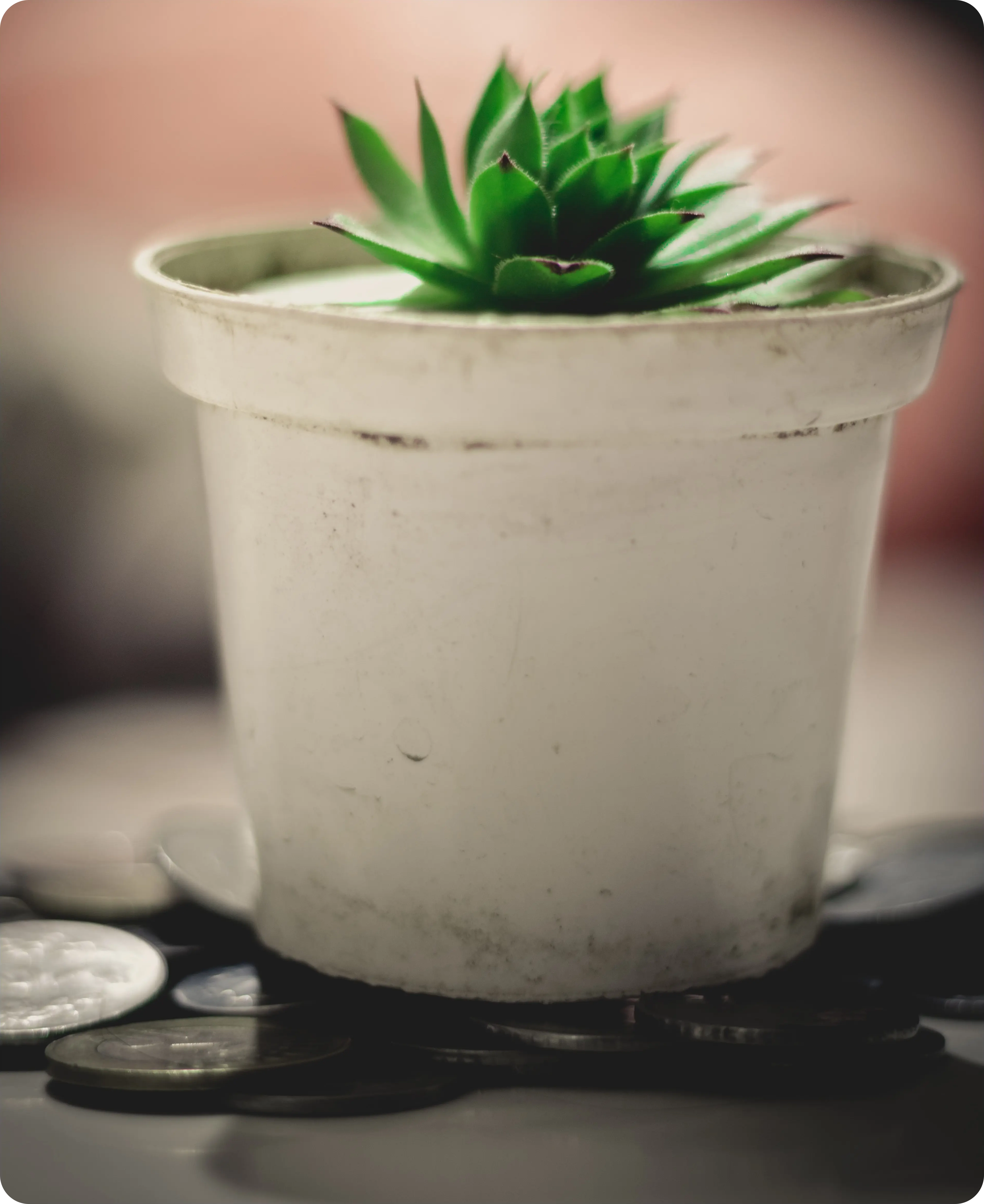 POS Loans